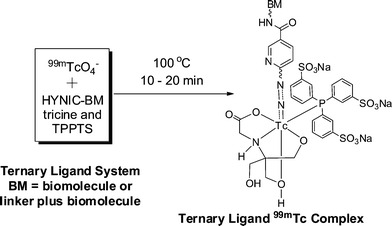99m Tc-centered one-pot synthesis for preparation of 99m Tc