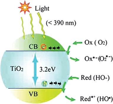 Photoexcitation of a semiconductor (e.g., TiO2) and the subsequent generation of an electron and hole, which are trapped by an oxidant (Ox) and a reductant (Red), respectively. For TiO2 photocatalysis, the “Ox” is a surface-adsorbed oxygen molecule and the “Red” is a surface-bound hydroxyl group.9
