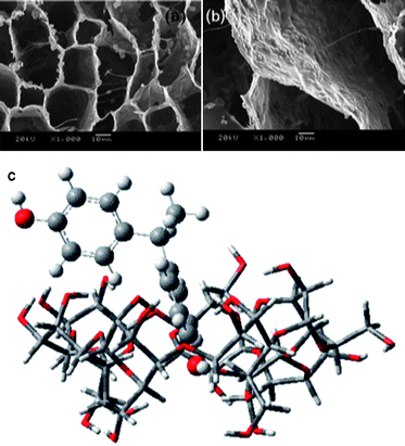 (a and b) High magnification SEM images of ordered 3D macroporous TiO2/chitosan sponges.88 (c) Proposed structure of the bisphenol E/CD inclusion complex.99