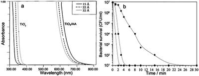 (a) Absorption spectra of 0.05 M TiO2 nanoparticles with different sizes before and after surface modification with ascorbic acid.103 (b) Inactivation of E. coli under UV illumination over catalyst systems. (■) Ag–TiO2, (●) 1 wt% Ag–HAP, and (▲) 5 wt% Ag–TiO2/HAP.107