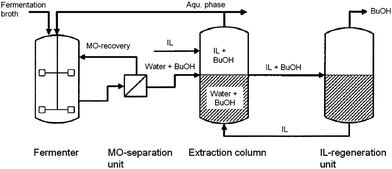 Process scheme detailing the extraction of 1-butanol from fermentation broth (adapted from ref. 113).