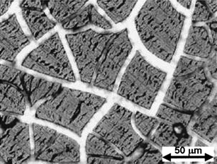 
            Optical micrograph of a cracked thin silicon film after lithiation and delithiation. Reproduced from Ref. 30 by permission of the Electrochemical Society.
