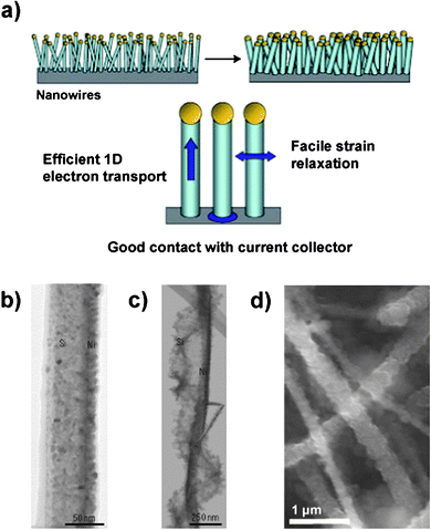 a) Schematic illustration of a silicon nanowire-based anode. The nanowires are deposited directly onto the current collector to provide a 1-D electron conduction pathway. b – c) TEM of a pristine Si nanowire partially coated with Ni b) before and c) after electrochemical cycling. d) SEM of Si nanowires after electrochemical cycling. Reproduced from Ref. 55 by permission of Nature Publishing Group.