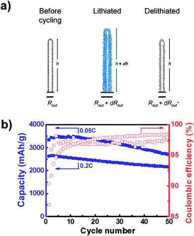 a) Schematic illustration of the anisotropic volume change in nanotubes during cycling. b) Specific capacity and Coulombic efficiency of silicon nanotubes cycled at rates of 0.05C (squares) and 0.2C (circles). Reproduced from Ref. 57 by permission of the American Chemical Society.