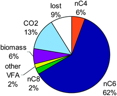Product distribution in carbon among n-butyrate (nC4), caproate (nC6), caprylate (nC8), other VFA (such as propionate, i-butyrate and (i/n)-valerate); biomass and CO2 at the end of the fermentation at pH 7, with initially acetate and ethanol as substrate.