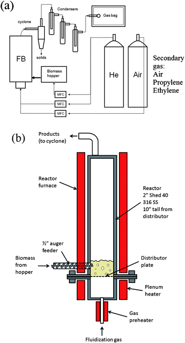The experimental setup of the fluidized bed reactor system. (a) Schematic of the fluidized bed system and (b) detailed drawing of the reactor.