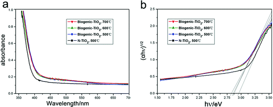 
            a
            UV-Vis
            diffuse reflectance spectra of biogenic-TiO2 and N-TiO2. b The corresponding Tauc plot of biogenic-TiO2 and N-TiO2.