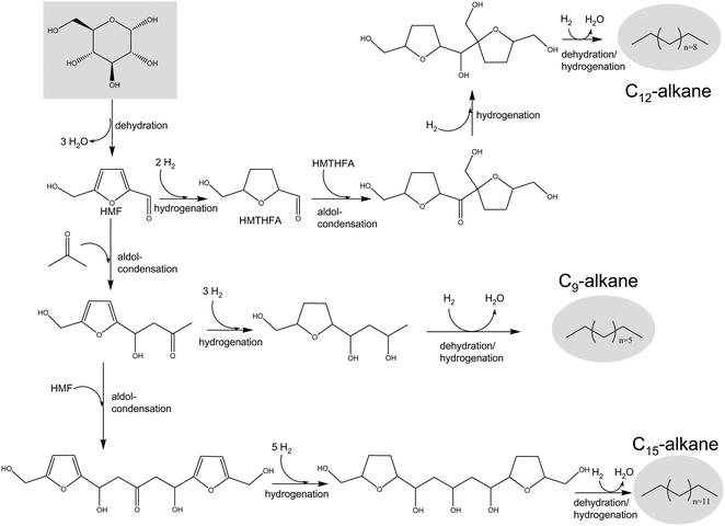 Reaction pathways for the conversion of biomass-derived glucose into liquid alkanes via HMF. Adapted from ref. 109.