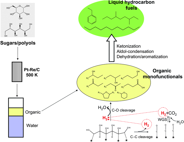 Scheme of the process for the catalytic conversion of sugars and polyols into liquid hydrocarbon fuels. Sugars primarily undergo reforming/reduction over Pt–Re/C to generate intermediate hydrophobic monofunctionals. The intermediates can be upgraded to liquid hydrocarbon fuels by means of C–C coupling reactions. Adapted from ref. 116.