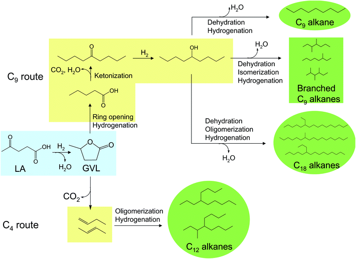 Catalytic routes for the conversion of levulinic acid (LA) and γ-valerolactone (GVL) into liquid hydrocarbon transportation fuels. Blue colour indicates water-soluble compounds, yellow symbolizes hydrophobic compounds, and green refers to liquid hydrocarbon fuels.