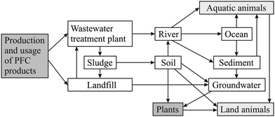 Environmental fate of PFCs in the aqueous environment. Note: the atmospheric pathway is not shown.