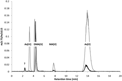 AEC-ICP-MS chromatograms of rice extract (black) and a standard solution mixture (grey).