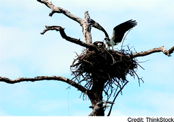 ugraphic, filename = c1em90028e-u3.gif