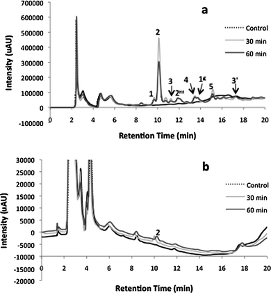 HPLC analysis, 30 and 60 min after intraperitoneal administration of P. barbatus extract, of (a) plasma and (b) brain. 1: luteolin 7-O-glucuronide (retention time 9.6 min); 2: rosmarinic acid (RT: 10.4); 3: apigenin 7-O-glucuronide (RT: 11.2); 4: abietane diterpenoid (RT: 13.8); 5: acacetin 7-O-glucuronide (RT: 15.1); 2m: monomethylated rosmarinic acid; 1g: luteolin glucuronide derivative; 3′: apigenin.
