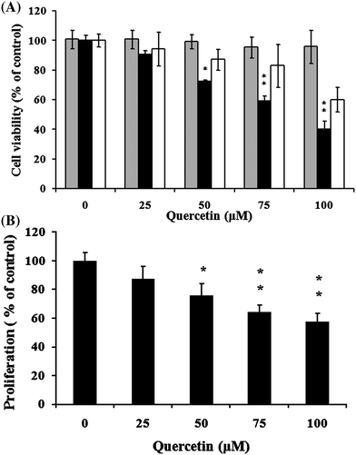Effects of cell viability and antiproliferation of quercetin on primary cells. Cell viability of qHSC(), aHSCs (■) and hepatic cells (□) (A); Antiproliferative effect of aHSCs (■) (B). Cells were cultured with quercetin at 25, 50, 75, and 100 μM for 24 h. Data were expressed at mean ± SD from three different experiments. The asterisk (*) indicates a significant difference from the control group (*, P < 0.05; **, P < 0.01).