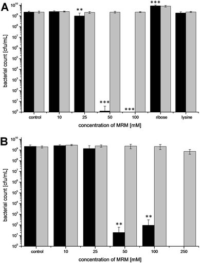 Effect of different concentrations of a heated MRM (formed from equimolar ratios of lysine and ribose in PBS as indicated by heating at 120 °C for 30 min) and separately heated lysine- and ribose solutions on bacterial growth of E. coli after 16 h of incubation at 37 °C with addition of catalase (grey) and without catalase (black). Experiments were carried out with an initial bacterial count of 102 cfu/mL (A) or 105 cfu/mL (B). Values represent means ± SD of three independent experiments; **p < 0.01 and ***p < 0.001, significant differences are related to the control.