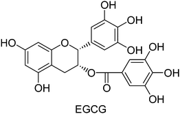 Chemical structure of epigallocatechin gallate (EGCG).