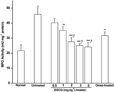Effect of EGCG in modulating the mucosal MPO level in the IND-induced ulcerated mice. The mice were ulcerated by IND (18 mg kg−1, p. o.). Treatment was carried out for 3 days with different doses of EGCG. The supernatant of the gastric tissue homogenate was incubated with TMB and H2O2 in a suitable buffer, and the MPO activity assayed from the absorbance at 450 nm against HRPO as the standard. The values are mean ± S.E.M. of three independent experiments, each with five mice per group. * p < 0.001 compared to control; ** p < 0.05, *** p < 0.01, compared to untreated mice; † p < 0.05, compared to EGCG (0.5 and 1 mg kg−1) treatment.