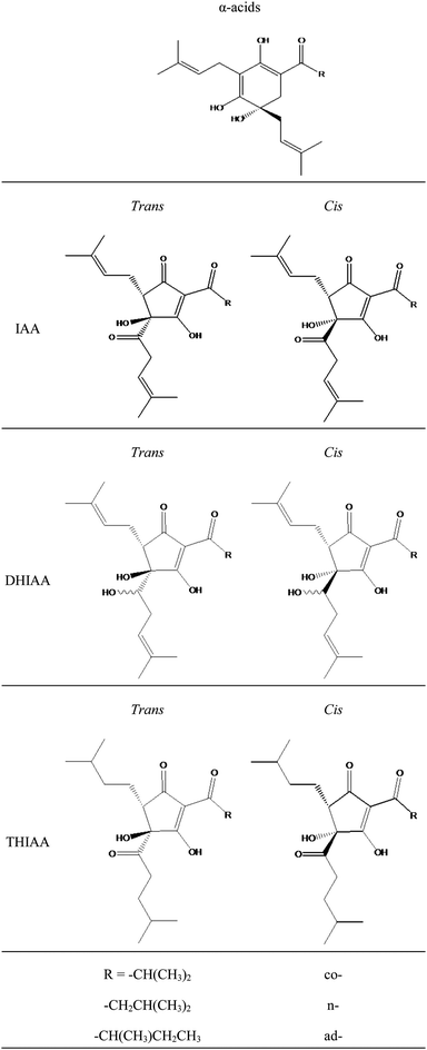 Molecular structures of hop α-acids, iso-α-acids and reduced derivatives. IAA: iso-α-acids, DHIAA: dihydro-iso-α-acids, THIAA: tetrahydro-iso-α-acids.