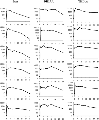 Individual plasma concentration-time profiles (log concentration (μg ml−1) versus time (h)) in rabbits following oral (0.5–24 h; n = 6) administration of 25 mg kg−1 IAA, DHIAA, and THIAA. IAA: iso-α-acids; DHIAA: dihydro-iso-α-acids; THIAA: tetrahydro-iso-α-acids.