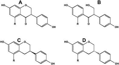 Reduced metabolites of daidzein and genistein. A, dihydrodaidzein; B, O-desmethylangolensin; C, R-(+)equol; D, S-(−)equol. For equol, R = H.