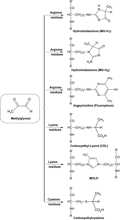 Formation of some methylglyoxal (MGO)-derived AGEs.