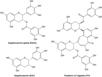 Structures of some tea polyphenols with carbonyl scavenging abilities.