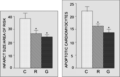 Effect of raw and grilled eggplants on infarct size (left) and apoptosis (right). Rats were given either raw or grilled eggplants for 30 days, while control experiments were performed by giving the rats water only At the end of 30 days, isolated rat hearts were subjected to 30 min ischemia followed by 2 h of reperfusion. Myocardial infarct size and cardiomyocyte apoptosis were determined at the end of each experiment, as described in the Materials and methods section. Results are expressed as mean ± SEM of six hearts per group. *p < 0.05 vs. control.