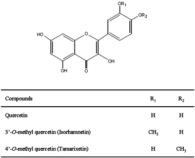 Structures of quercetin, isorhamnetin and tamarixetin.