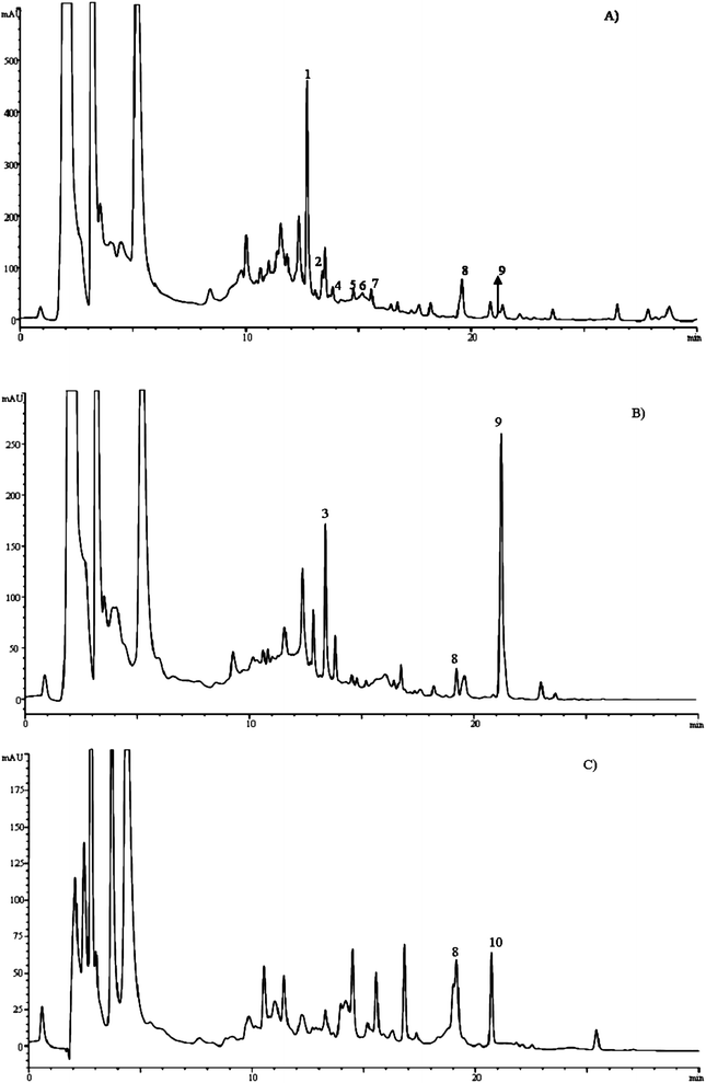 
            HPLC
            chromatograms recorded at 370 nm of extracts of C. elegans obtained after incubation of the worms for 5 days in culture media containing quercetin(A), isorhamnetin(B) or tamarixetin(C). Peaks identified as metabolites of the assayed flavonols are marked with numbers. See Table 2 for peak identities.