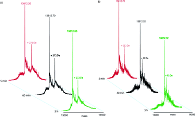 After addition of NaBH4 deconvoluted mass spectra of K18 incubated in presence of OLC. The spectra were recorded at different times (for convenience only three time points are shown) and different temperatures 4 °C (A) and 37 °C (B).