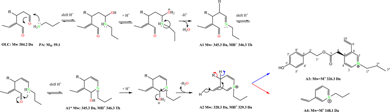 Reaction mechanism between OLC and propylamine.