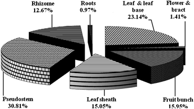 Biomass composition of different parts of banana plant cv. Nanjanagudu Rasabale.