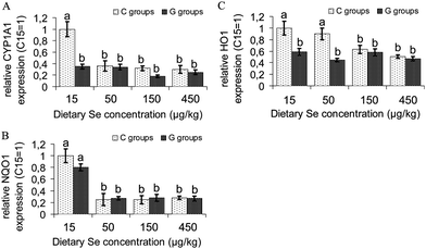 Expression of the phase I cytochrome P450 oxidase CYP1A1, and of the phase II antioxidant enzymes NAD(P)H Quinone Reductase 1 (NQO1) and Heme Oxygenase 1 (HO1) in the liver of growing rats fed diets supplemented with increasing dietary selenium concentrations (15 μg kg−1, 50 μg kg−1, 150 μg kg−1 or 450 μg kg−1) either without (C15, C50, C150, C450) or with the addition of 700 μmol glucoraphanin kg(diet)−1 (G15, G50, G150, G450). Unlike superscripts in a figure indicate significant differences between means (P < 0.05). n = 6 cDNA pools of 2 rats per experimental group. Analyses were performed in duplicate for each pool.