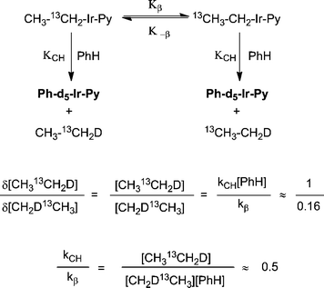 Kinetic scheme for C–H activation and α to β 13C-migration.