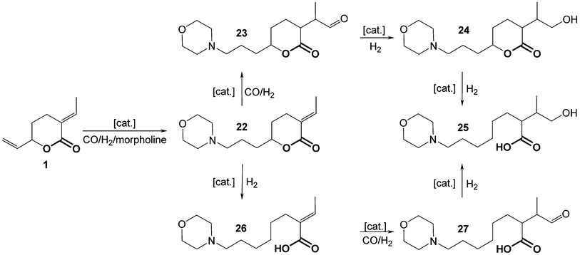 Hydroaminomethylation of the δ-lactone 1 and consecutive reactions.