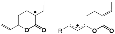 Radicals of the δ-lactone 1.