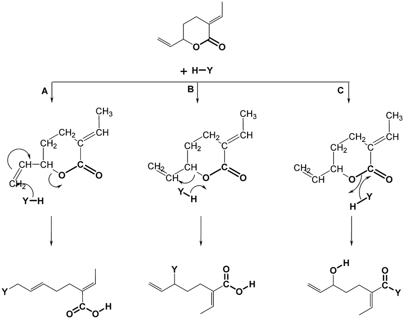 General reactivity of the δ-lactone 1 with substrates of the type H–Y.