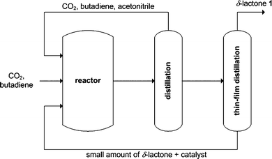 Flow scheme of the production process for the δ-lactone 1.