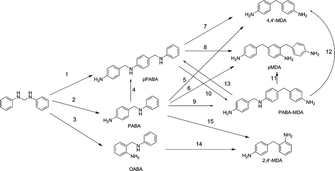 Simplified reaction network.