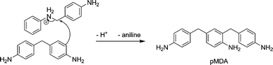 Formation of pMDA from 4,4′-MDA and PABA.