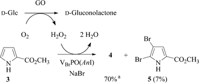 Combination of d-glucoseoxidase (GO)-catalyzed H2O2 generation and VBrPO(AnI)-catalyzed bromide oxidation for sustainable pyrrole bromination [d-Glc = d-glucose; 6.2 UT for VBrPO(AnI); 1.67 U for GO; pH 5.8 (MES); tBuOH/H2O; c30 = 7.2 mM; for stoichiometry of the BPO-catalyzed reaction see Scheme 1].