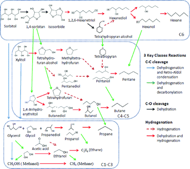 Reaction pathways for the hydrodeoxygenation of hydrogenated aqueous maple wood hydrolysis products.