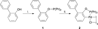 Conditions: (i) NEt3, ClPiPr2, toluene, reflux, 16 h. (ii) PdCl2, toluene, reflux, 16 h.