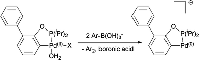 Suggested pathway for the formation of an active, palladacyclic, anionic Pd(0) species.