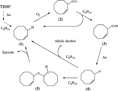 Proposed mechanism for cyclooctene oxidation using TBHP as radical initiator over supported gold catalysts.