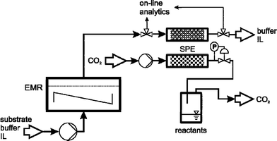 Flow scheme for continuous synthesis in an enzyme membrane reactor (EMR), and subsequent SPE of the loaded column downstream and extraction with carbon dioxide (P: pressure transducer, IL: ionic liquid).