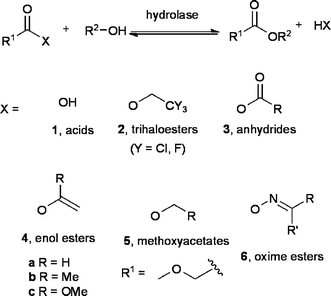 Illustrates the main acyl donors described in literature.