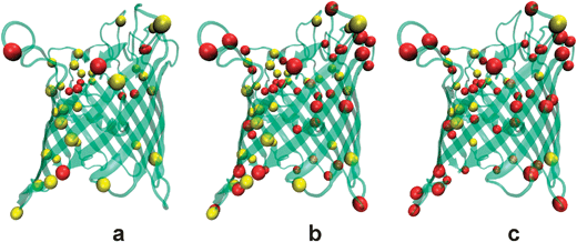 Cartoon that illustrates the amount of charged OmpF residues in three environments at different pH. A ribbon representation of the tertiary structure of the OmpF porin is combined with colored balls representing the positively charged (yellow) and negatively charged (red) ionizable residues. (a) At pH 2 the positive residues exceed by 21 the negative ones, which is consistent with the anionic selectivity of the channel. (b) At pH 7 the net balance switches to negative (−11). (c) At pH 12 negative residues are more than double the number of positive ones, what agrees with the large cationic selectivity measured at this pH.