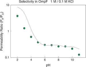 Permeability ratio in OmpF channel as a function of pH. Dots correspond to measurements in 1 M/0.1 M KCl solutions. Solid line represents the calculated permeability ratio. Details of the experiments are given elsewhere.36